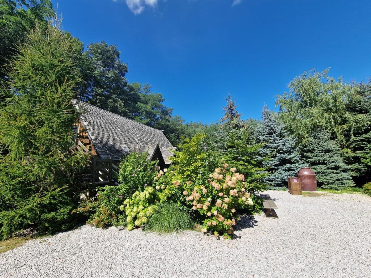 Hotel Oberza Pod Zlotym Prosiakiem Nieborów Exterior foto