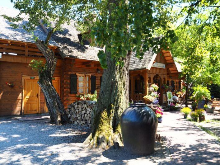 Hotel Oberza Pod Zlotym Prosiakiem Nieborów Exterior foto